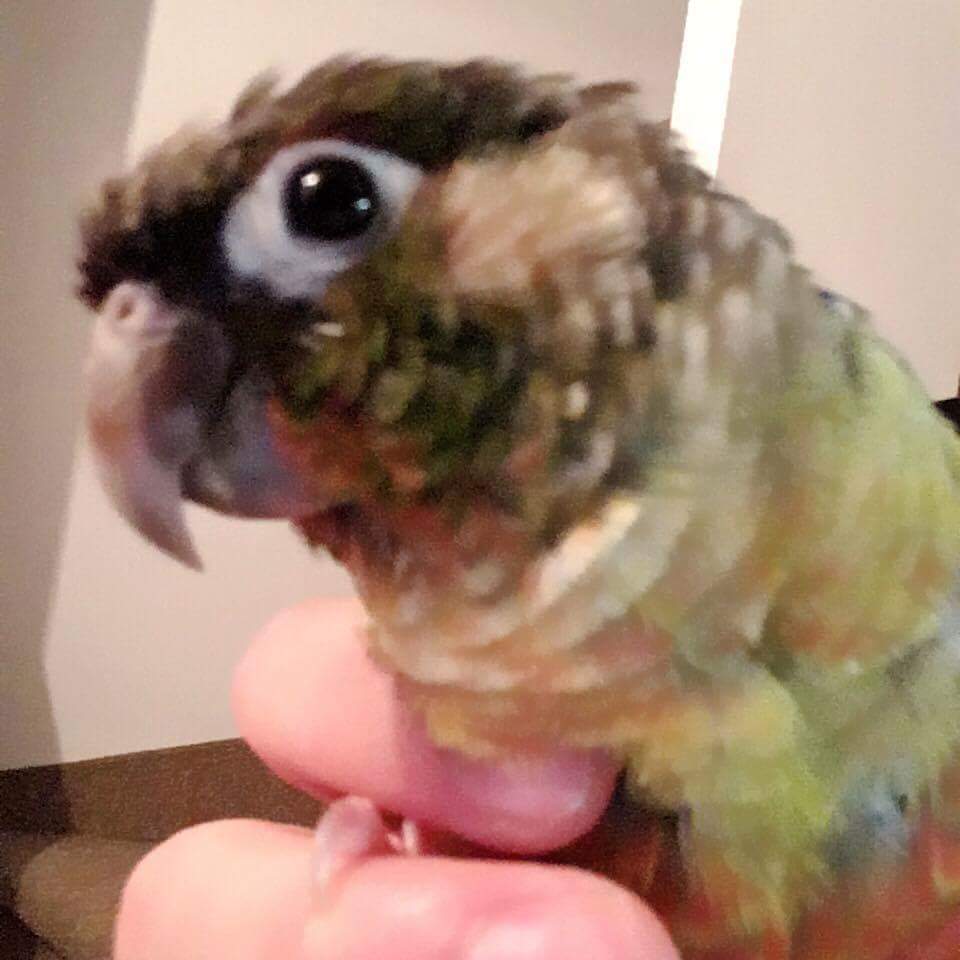 's Avatar