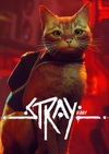 Stray Box Art