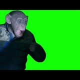 ryanpetes's Avatar'