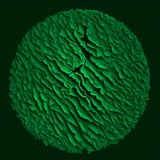 vartifi's Avatar'